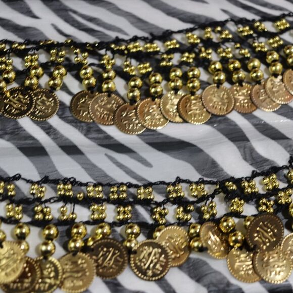 Zebra Print Sheer Belly Dancing Scarf Shimmy Coin Jingle Noise Making Hip Scarf - Picture 4 of 10